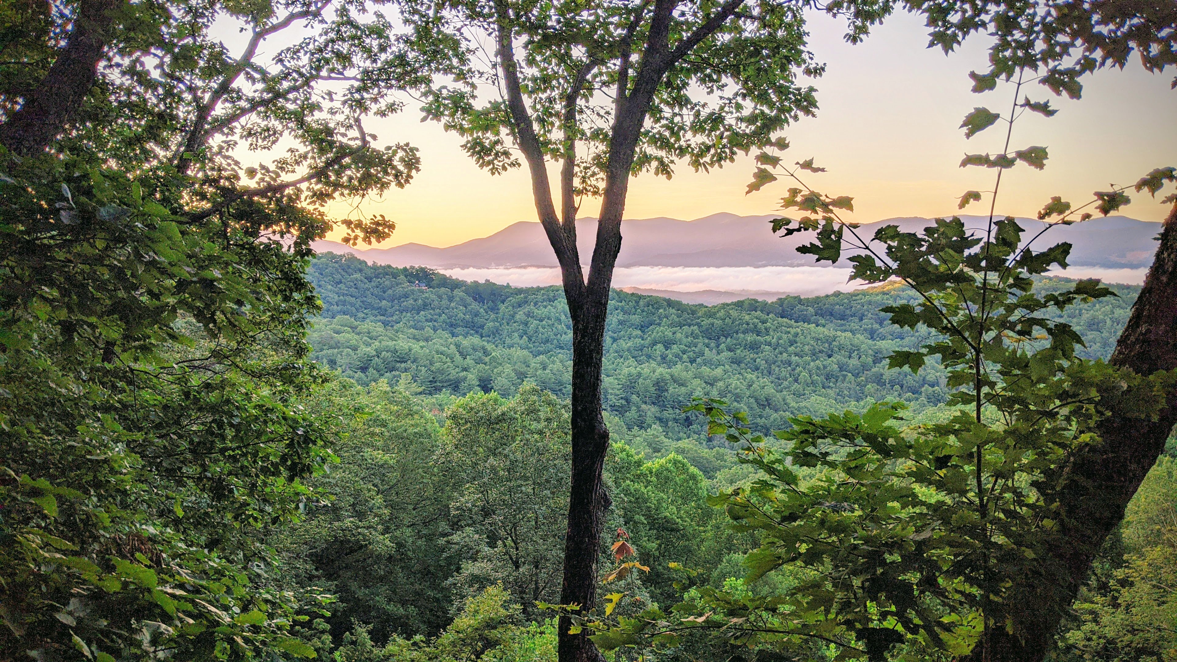 Summer turns the ridges deep green and the decks into prime sitting territory.